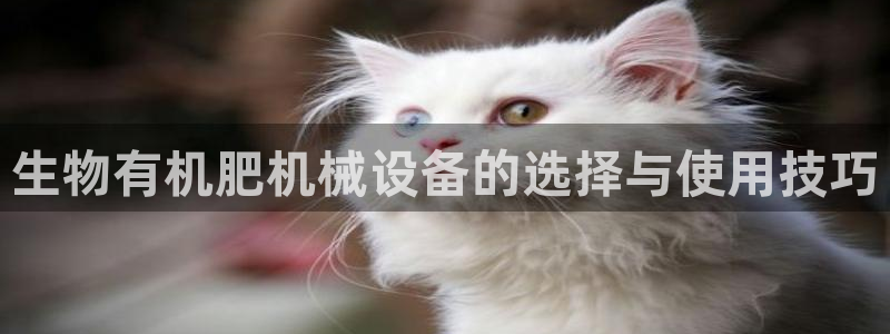 九游会老哥俱乐部官网首页论坛