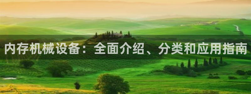 9游会app