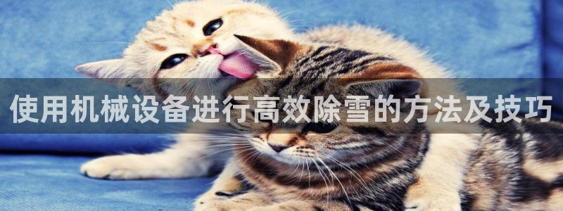 ag九游会微博