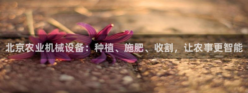九游会跟ag是怎么一回事