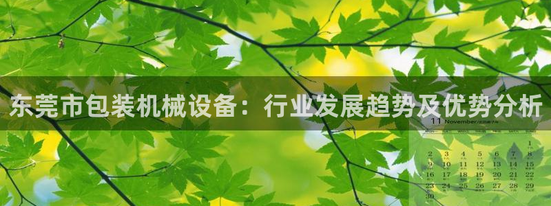 九游会怎么了