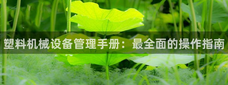 九游j9打不开