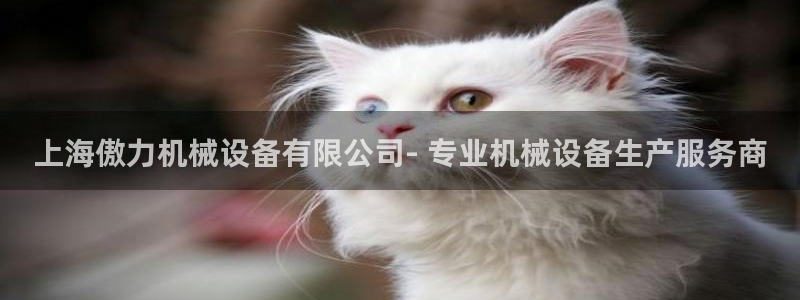 九游会游戏官网网页版