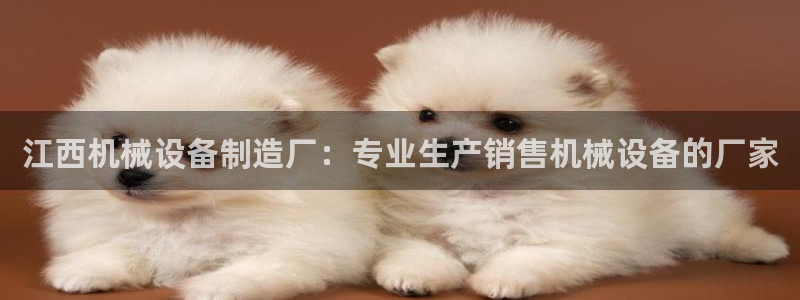 九游j9国际站官方网站