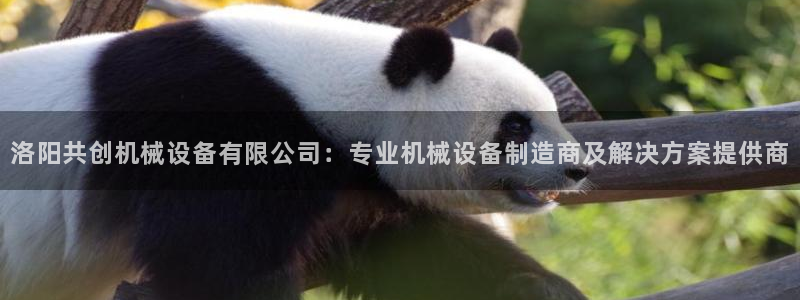 九游会官网ag