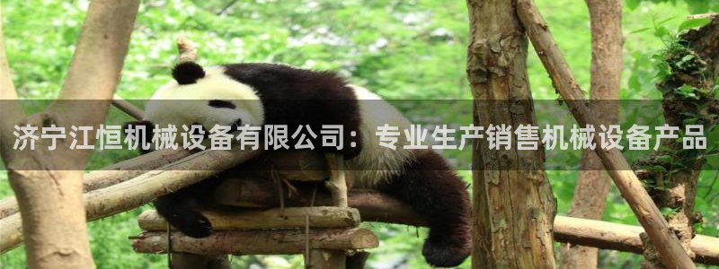 九游会是一个什么网站啊