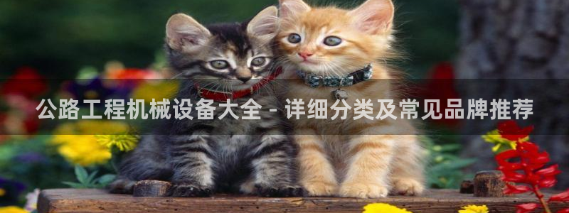 九游会老哥俱乐部官网首页