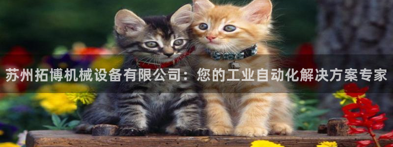 九游会app下载版官网正版安卓