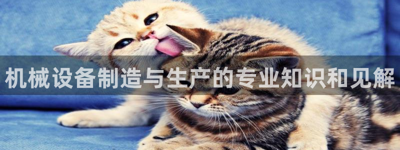 j9p下载