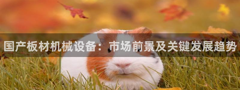 九游会官网入口ag亚洲