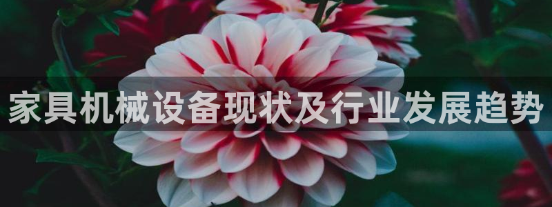 九游会集团首页