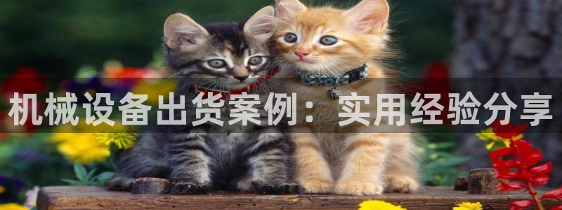 ag九游会集团