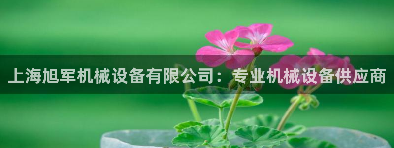 九游会网址多少
