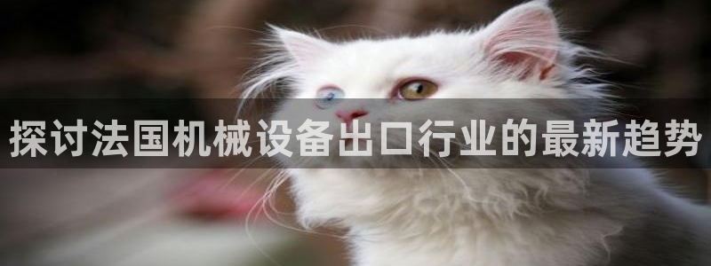 九游会ag318