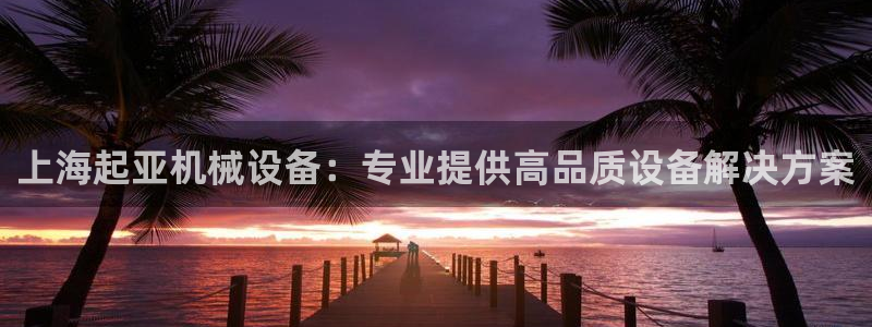 ag改名九游会