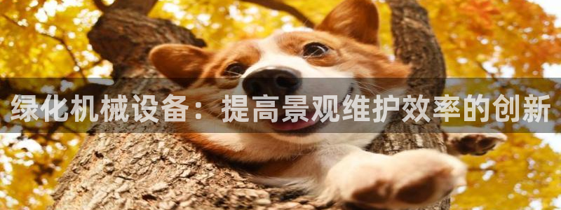 九游会官网下载不了吗