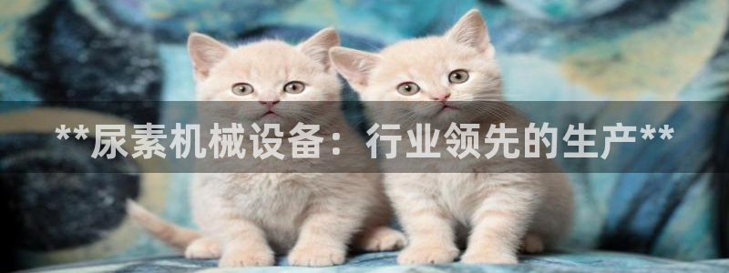 j9首页