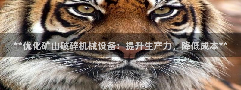 九游会是ag吗