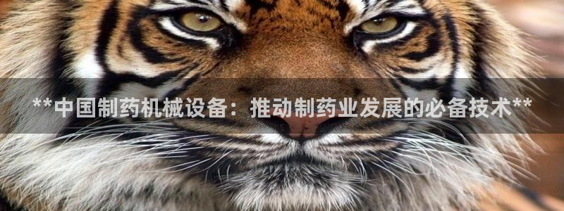 九游会官网ag
