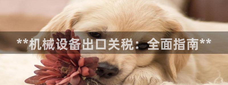 九游会官方在线