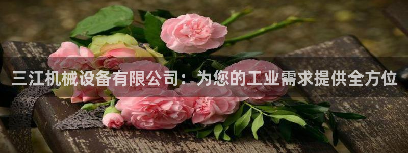 九游会ag官方网站在哪