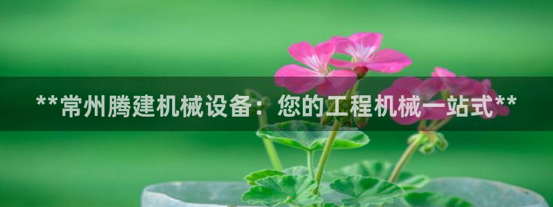 九游会官网贴吧