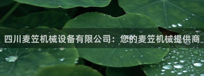 九游会 a g