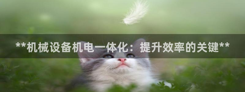 九游会老哥必备的交流社区九