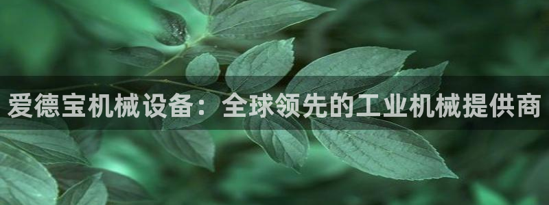 九游会国际厅