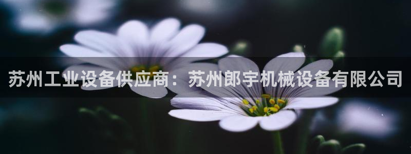 J9九游会老哥俱乐部官方