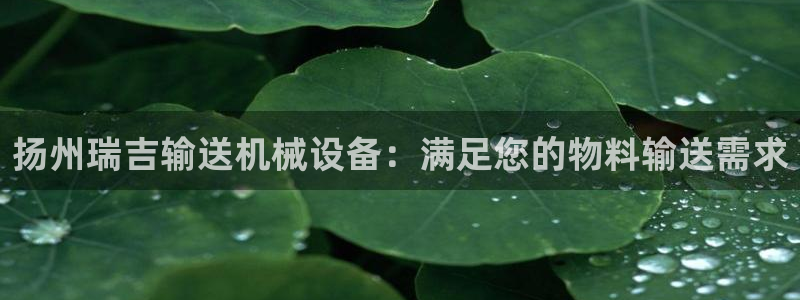 j9com九游会