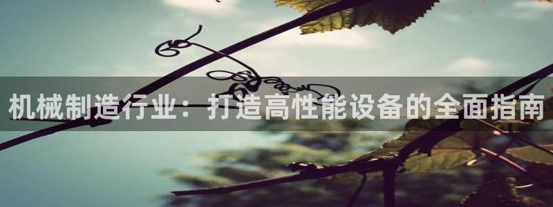 九游会上不去了