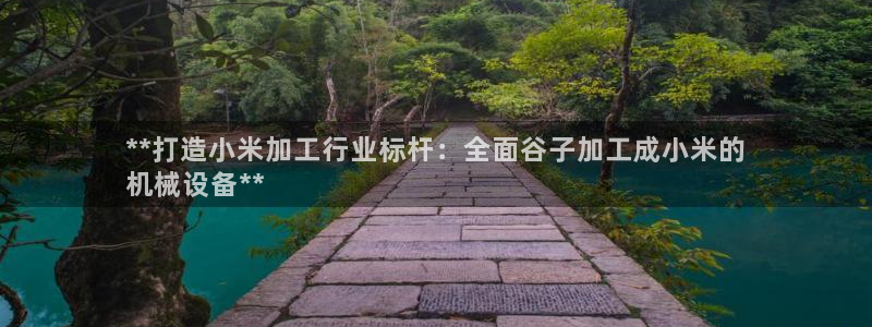 九游会官方选网址是j9.cm