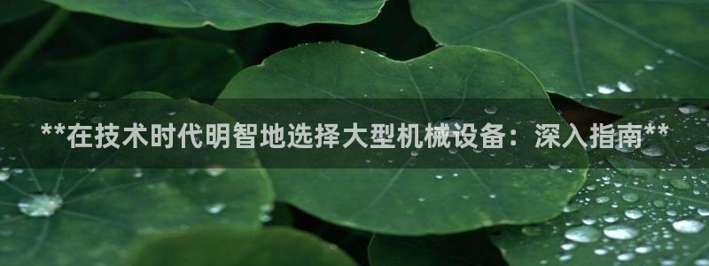 j9九游会官方网站国际
