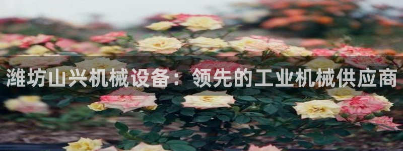 九游会是什么组织