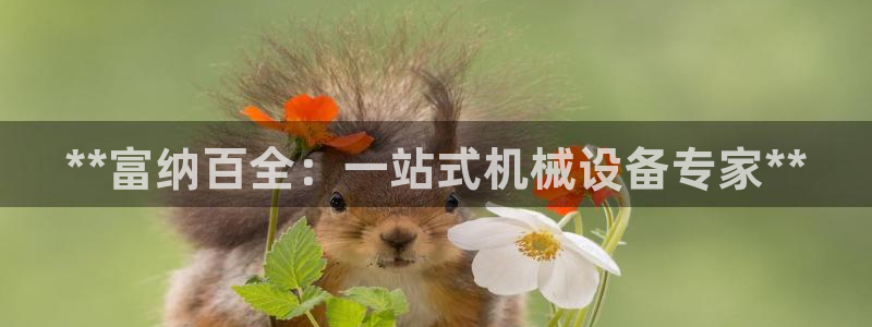 九游会ag私享