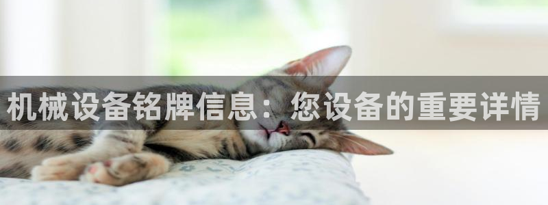 九游会线上平台下架吗