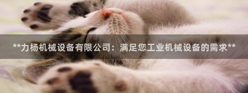 九游会官网jy