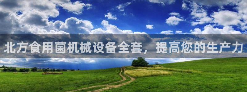 九游会跟ag是怎么一回事