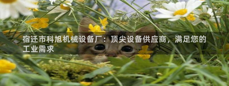 九游会网址多少