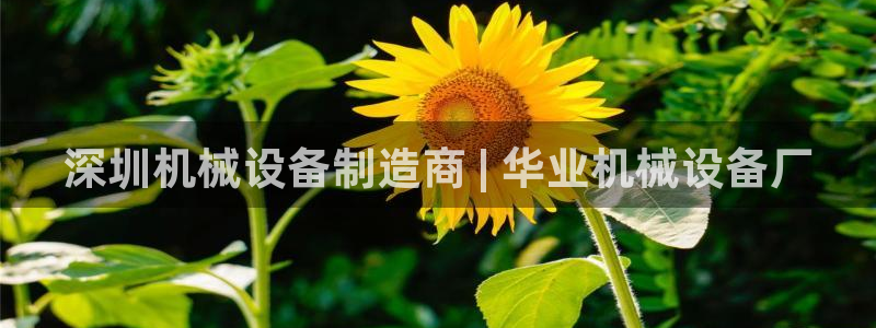 九游会老哥俱乐部官网首页论坛