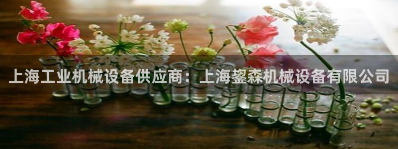 j9九游会首页入口试