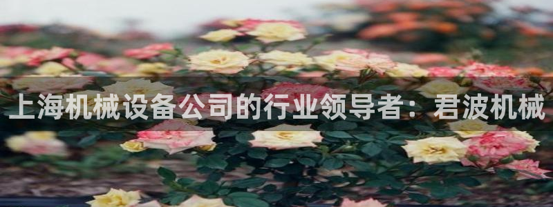 j9九游会老哥俱乐部