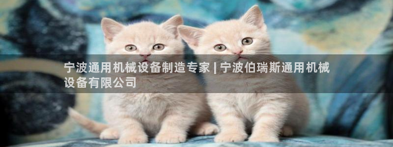 九游会官网真人认证吗知乎