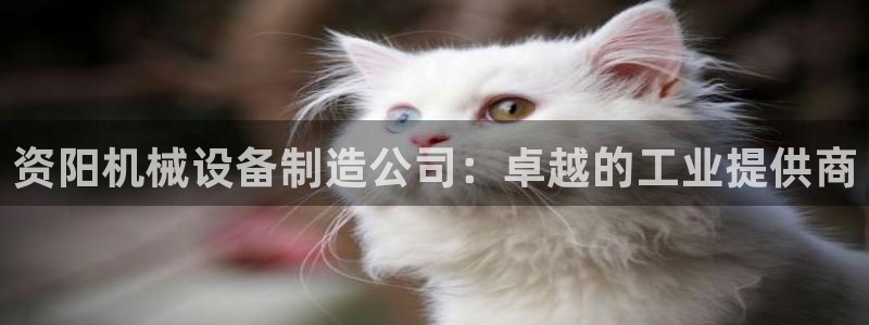 九游会官方视讯