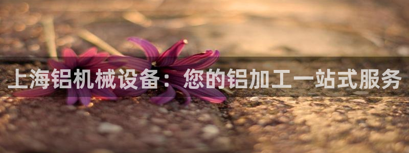 ag久游会