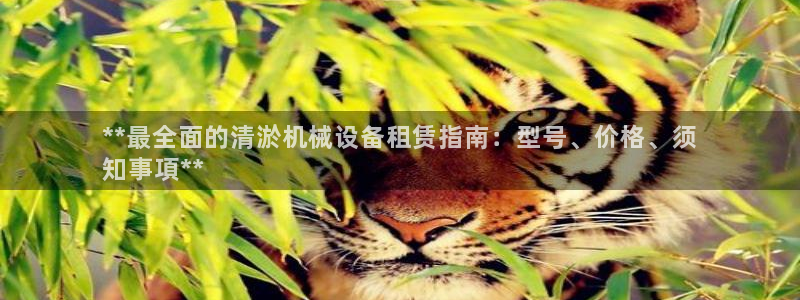 九游会平台ag