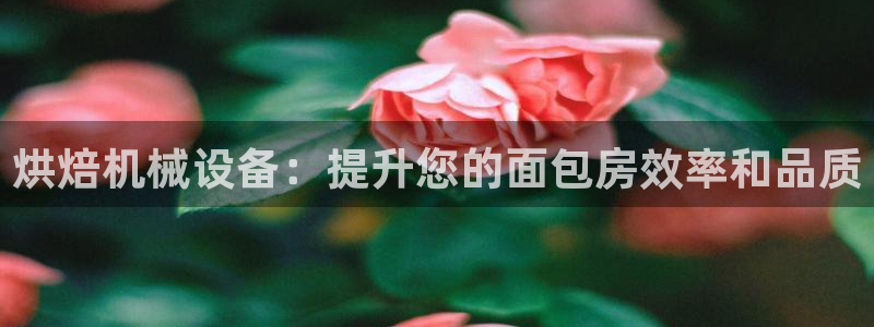 九游会app下载版官网正版安卓