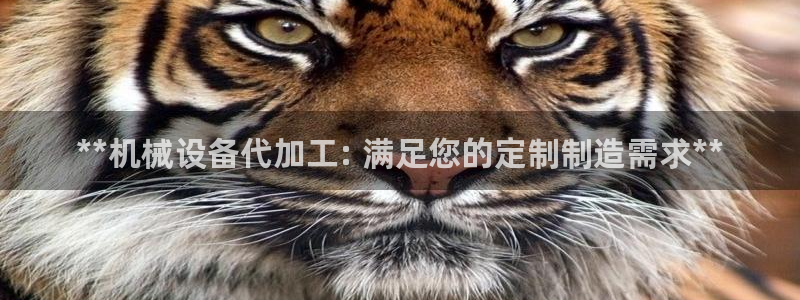 九游会是不是黑网