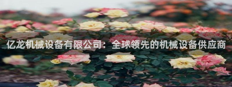 九游J9官方网站